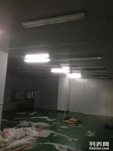 金山石化區(qū)食品廠專業(yè)凈化工程 彩鋼巖棉板隔斷、車間隔墻與工裝裝修一體化解決方案